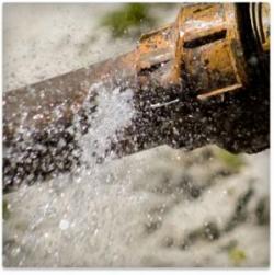 Our Burien Plumbing team can solve all of your leak problems